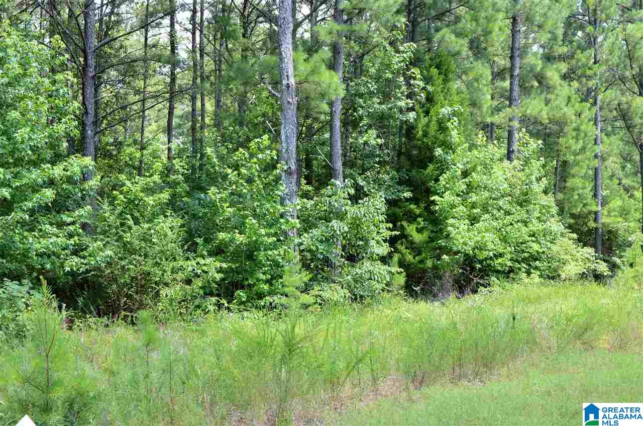 1660 New Liberty Road, Unit X Wellington, AL 36279 - Photo 2 of 5