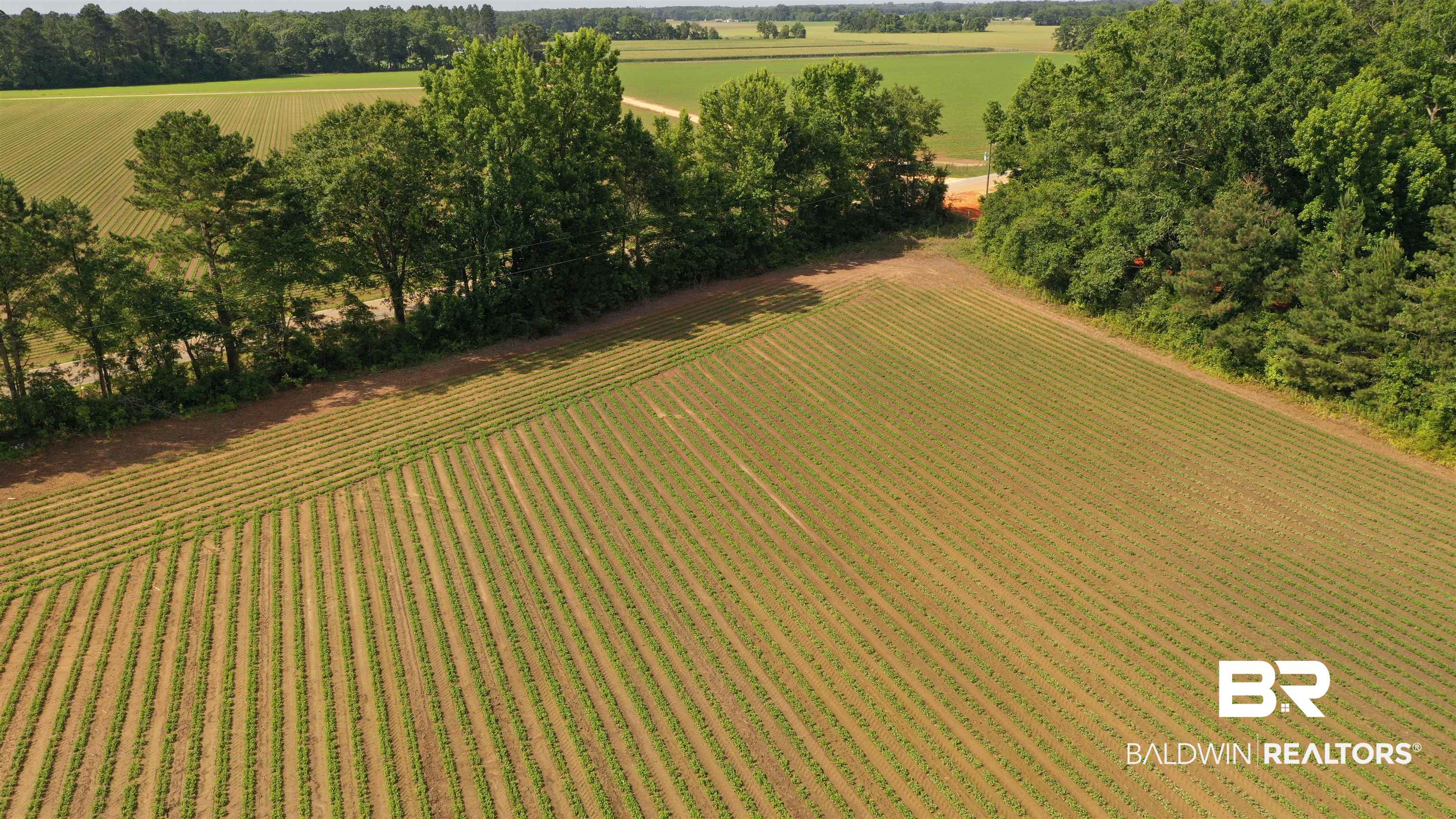 6 Travis Road Brewton, AL 36426 - Photo 21 of 22