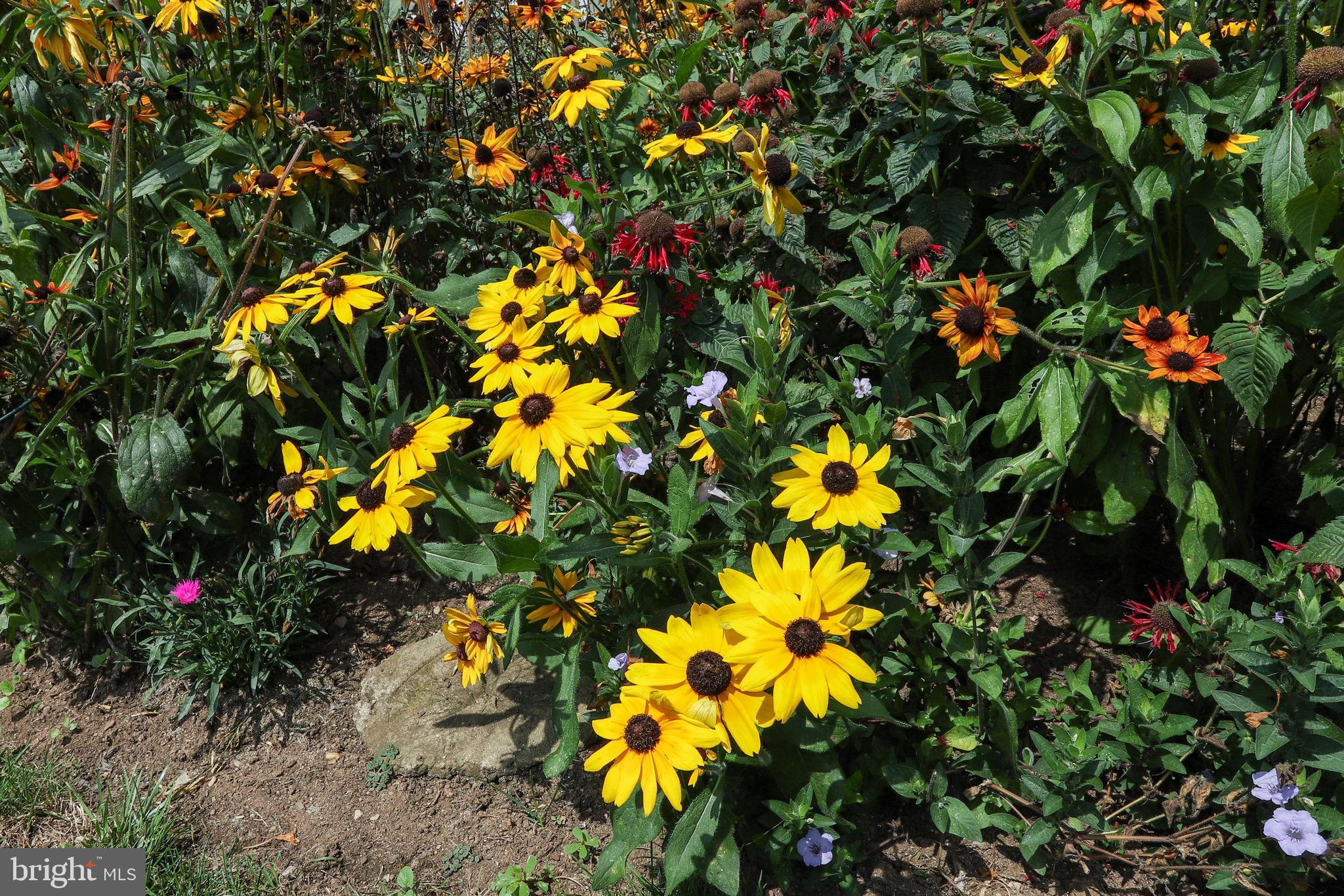 3 Runyon Road Hummelstown, PA 17036 - Photo 47 of 62 Gardens