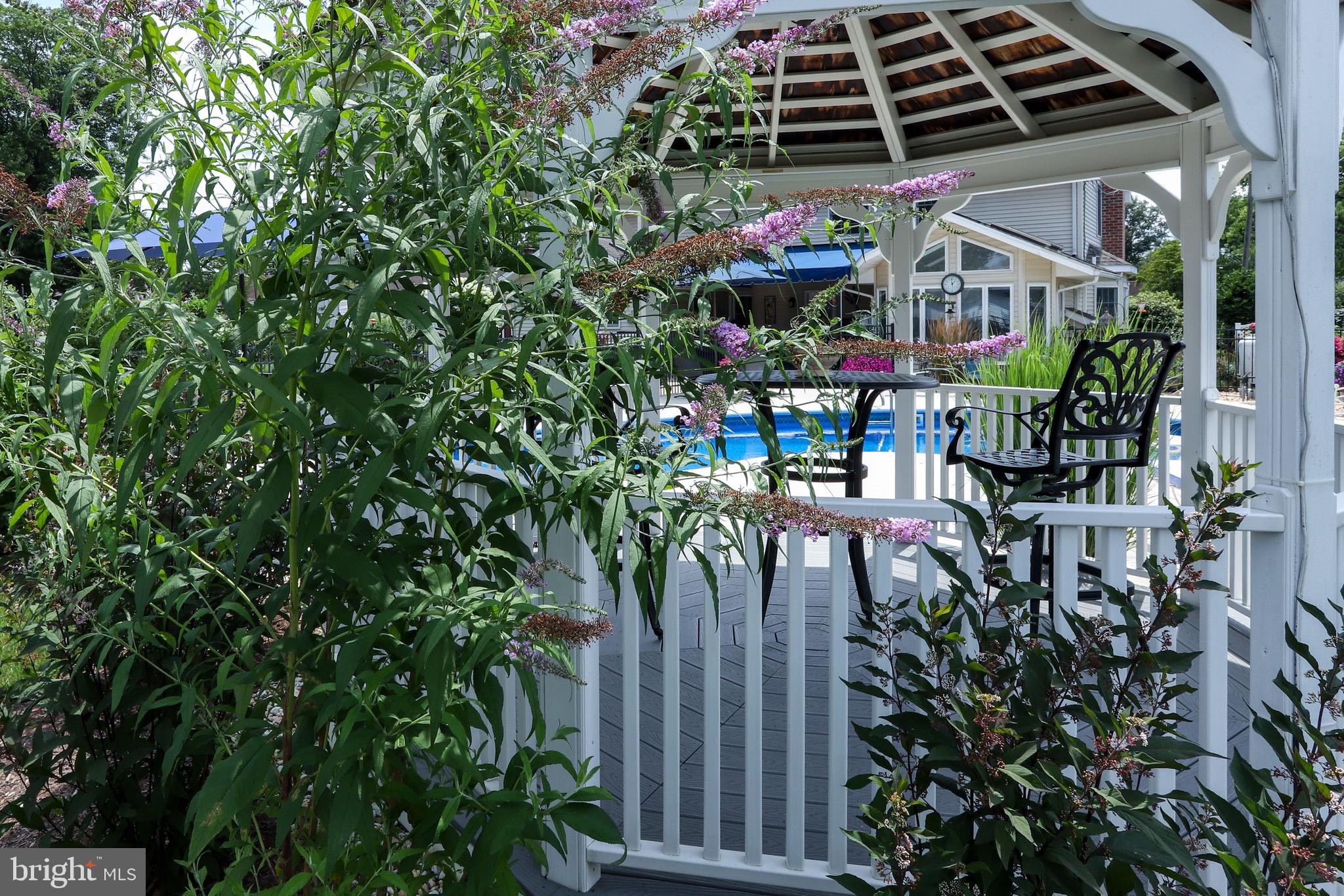 3 Runyon Road Hummelstown, PA 17036 - Photo 48 of 62 Butterfly Bush