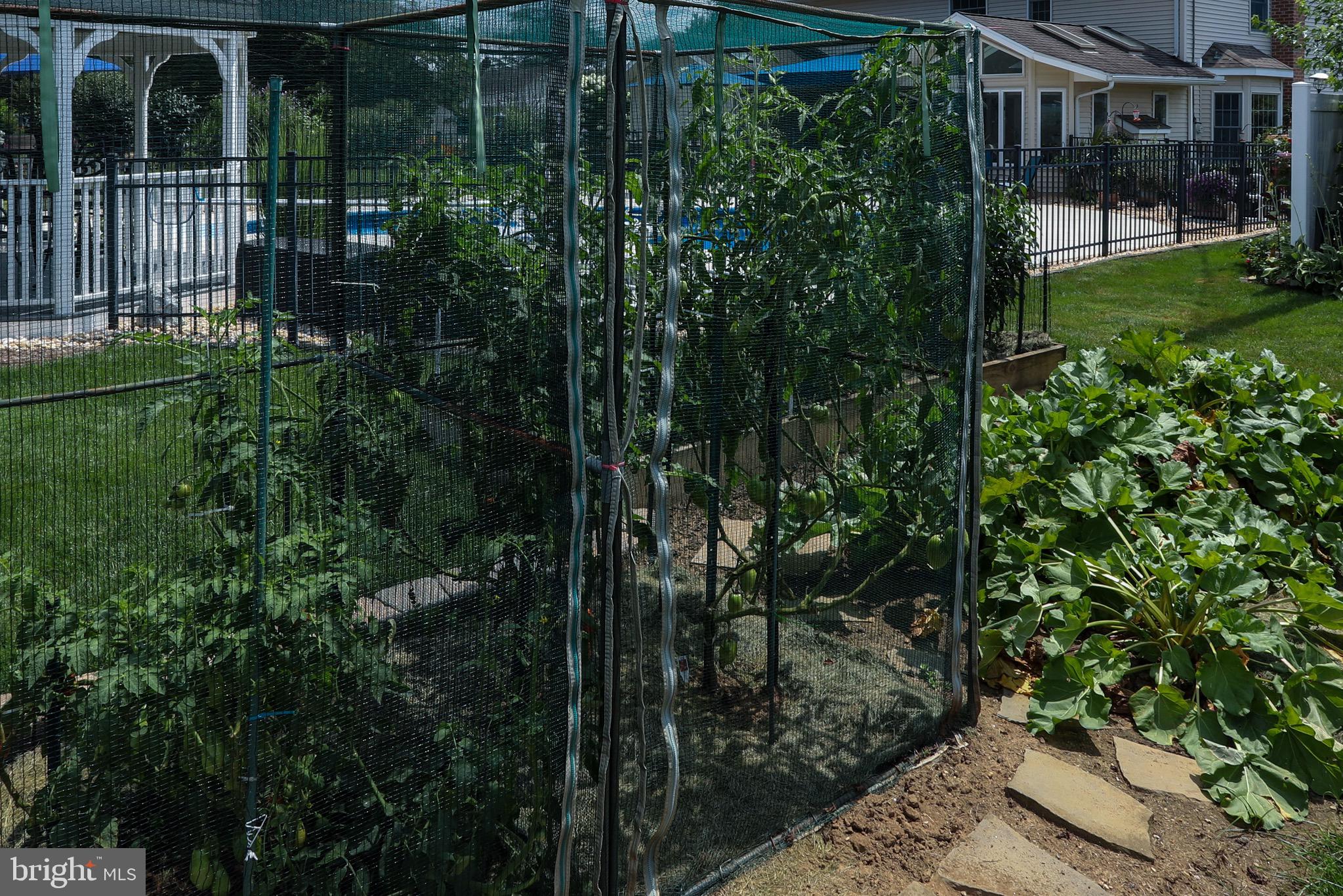 3 Runyon Road Hummelstown, PA 17036 - Photo 49 of 62 Raised Vegetable Garden