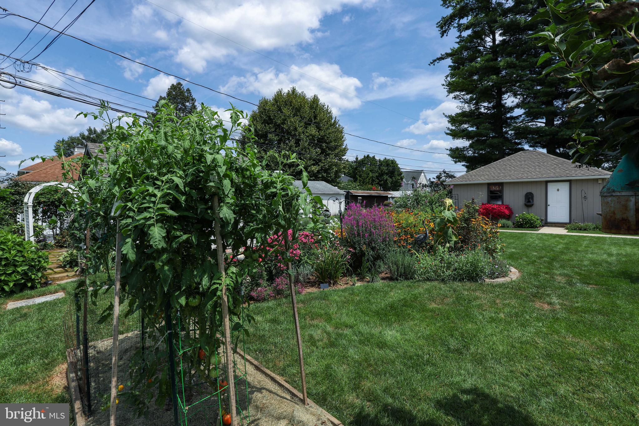 3 Runyon Road Hummelstown, PA 17036 - Photo 50 of 62 Raised Vegetable Garden