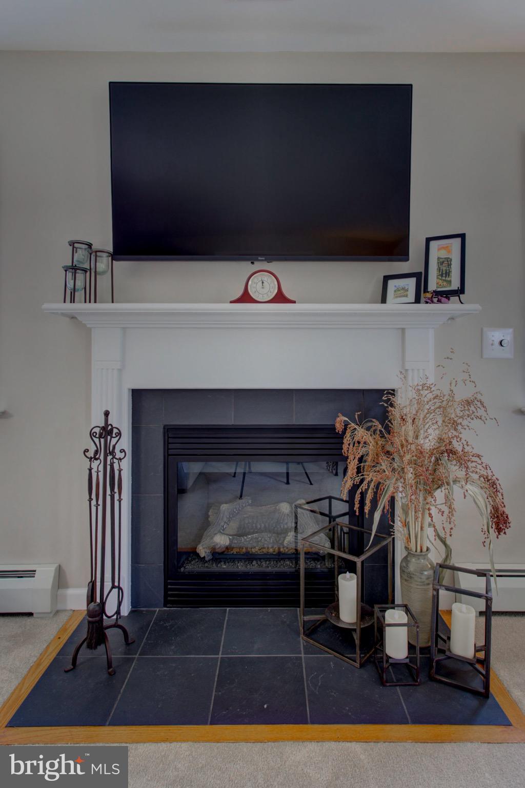 3 Runyon Road Hummelstown, PA 17036 - Photo 6 of 62 Gas Fireplace