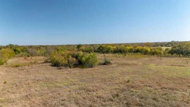 a view of a field with trees in the background