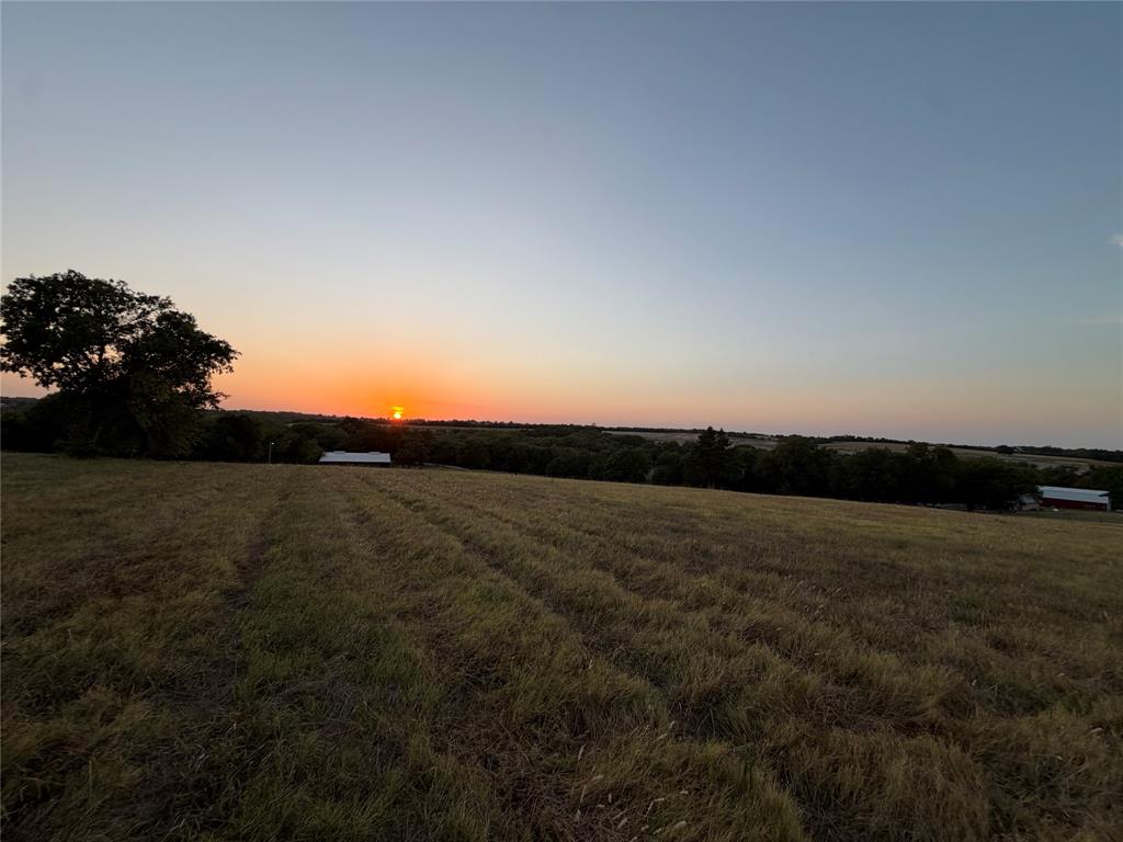 Lot 1 Harrell Howe, TX 75459 - Photo 9 of 11 Gallery Image 9