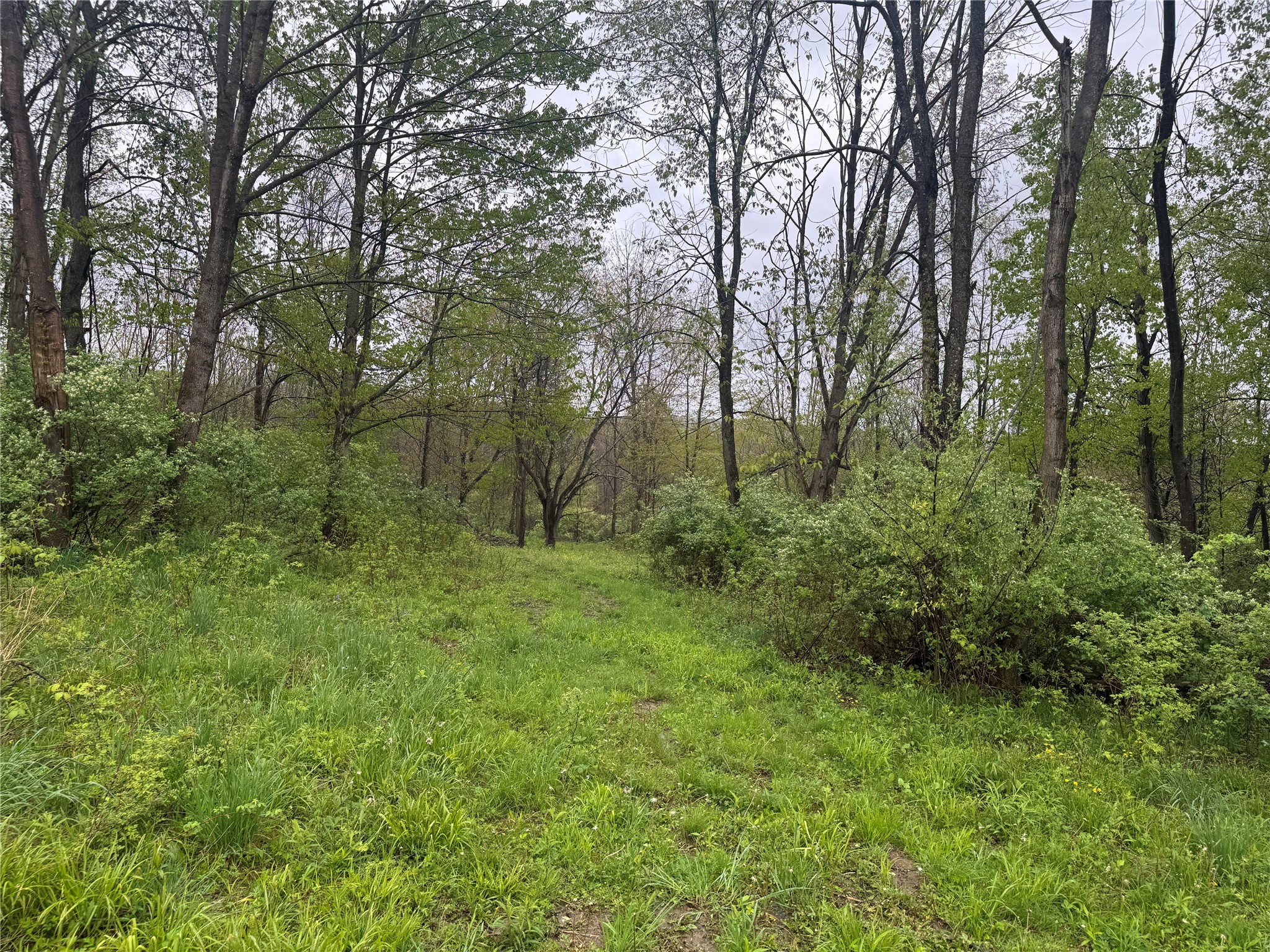 0 Hollis Road Meadville, PA 16335 - Photo 4 of 9 Gallery Image 4