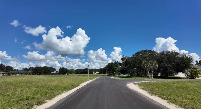 a view of a yard with large trees
