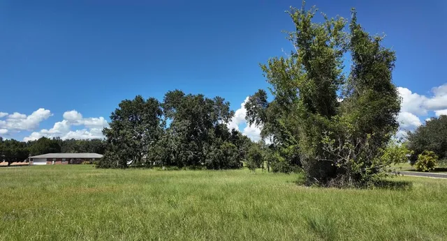 a view of swimming pool yard and green space