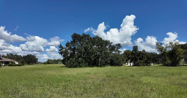 a view of a golf course with a lake