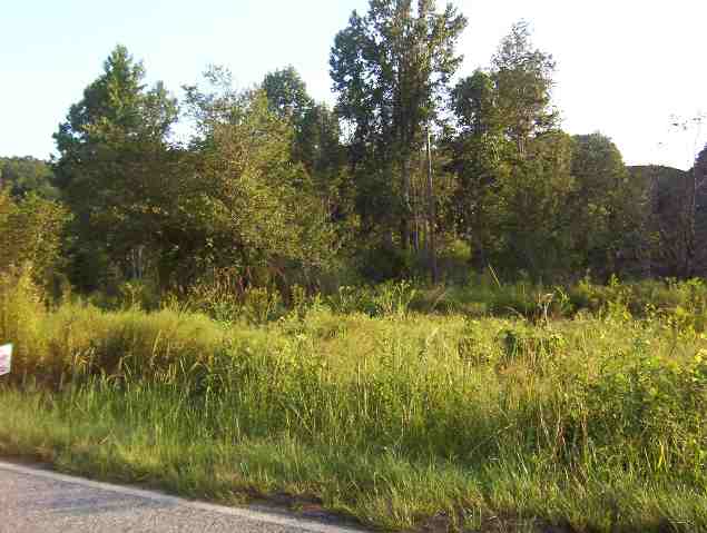 1.53-ac Cleveland Pike Road Westminster, SC 29693 - Photo 1 of 1 Gallery Image 1