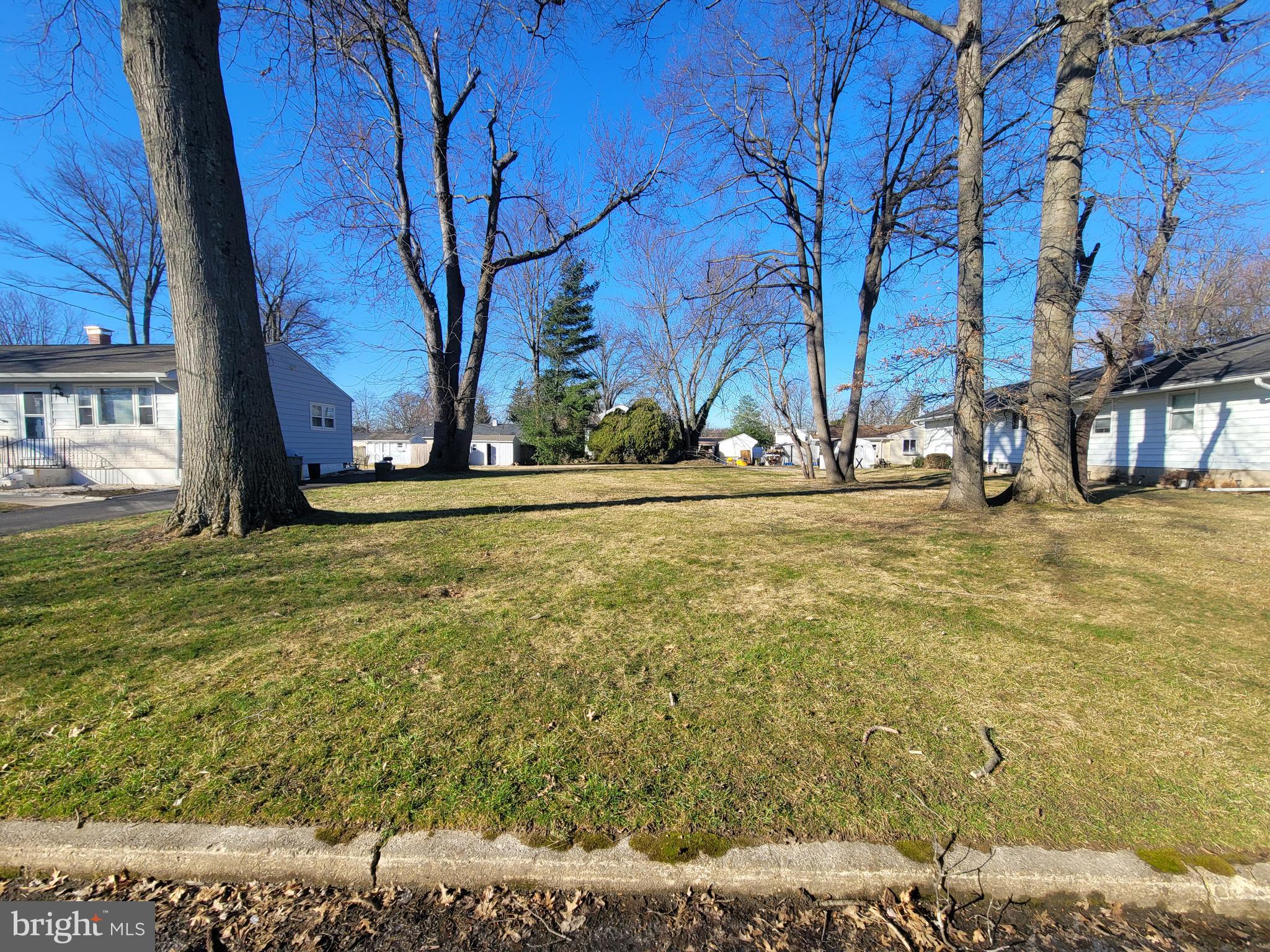 a view of a yard with an tree