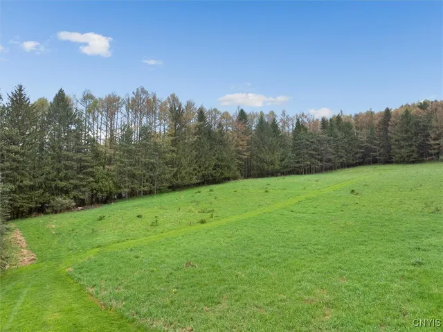 $167,000 | 0 Bonney Hill Road, Bath, NY 14810