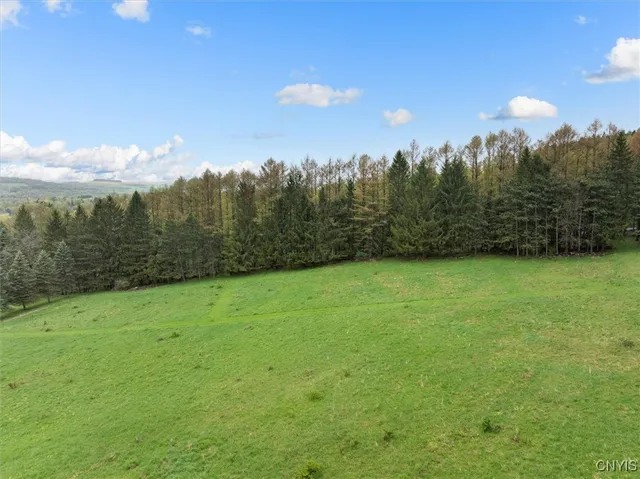 $167,000 | 0 Bonney Hill Road, Bath, NY 14810