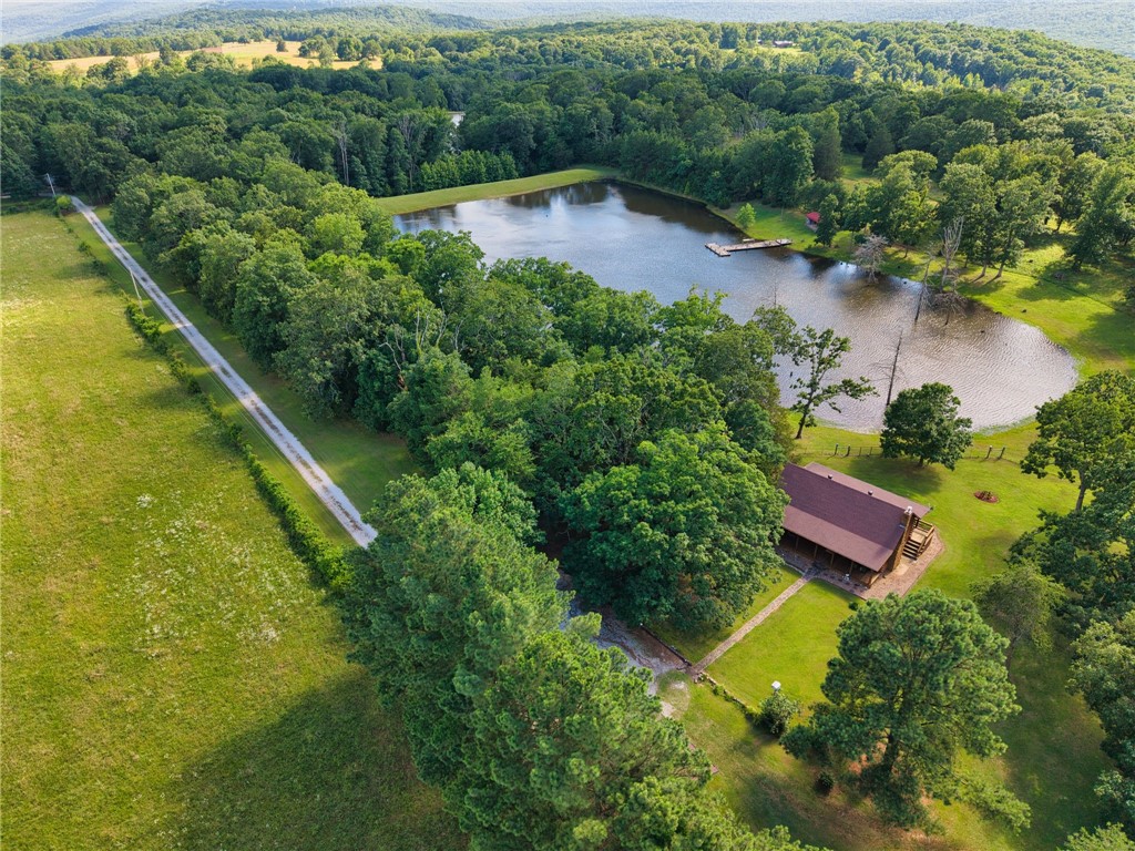 21019 Carter Road West Fork, AR 72774 - Photo 24 of 49 Expansive property featuring a private lake with a dock, surrounded by mature trees