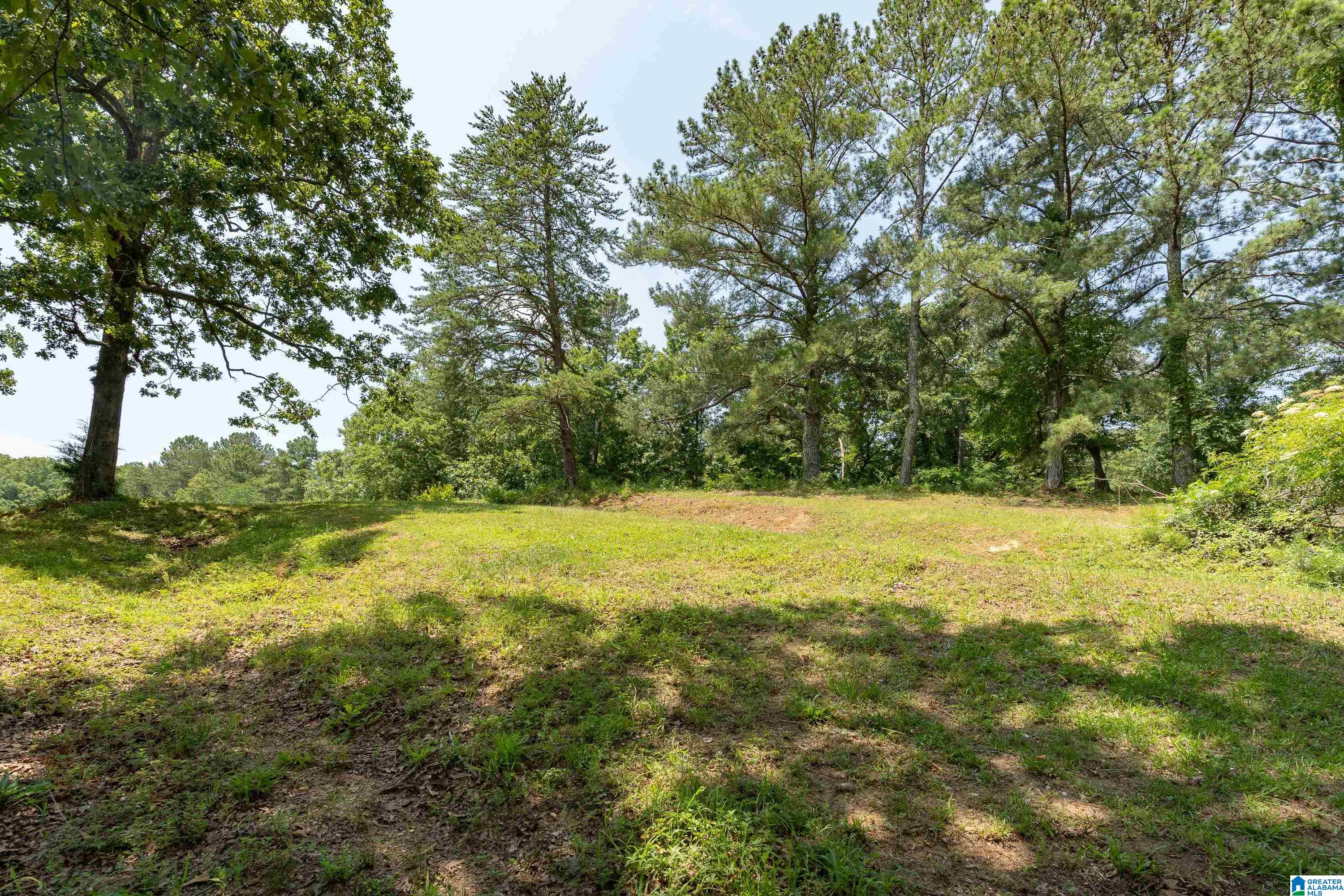 1034 Bob Glenn Road Morris, AL 35116 - Photo 43 of 60