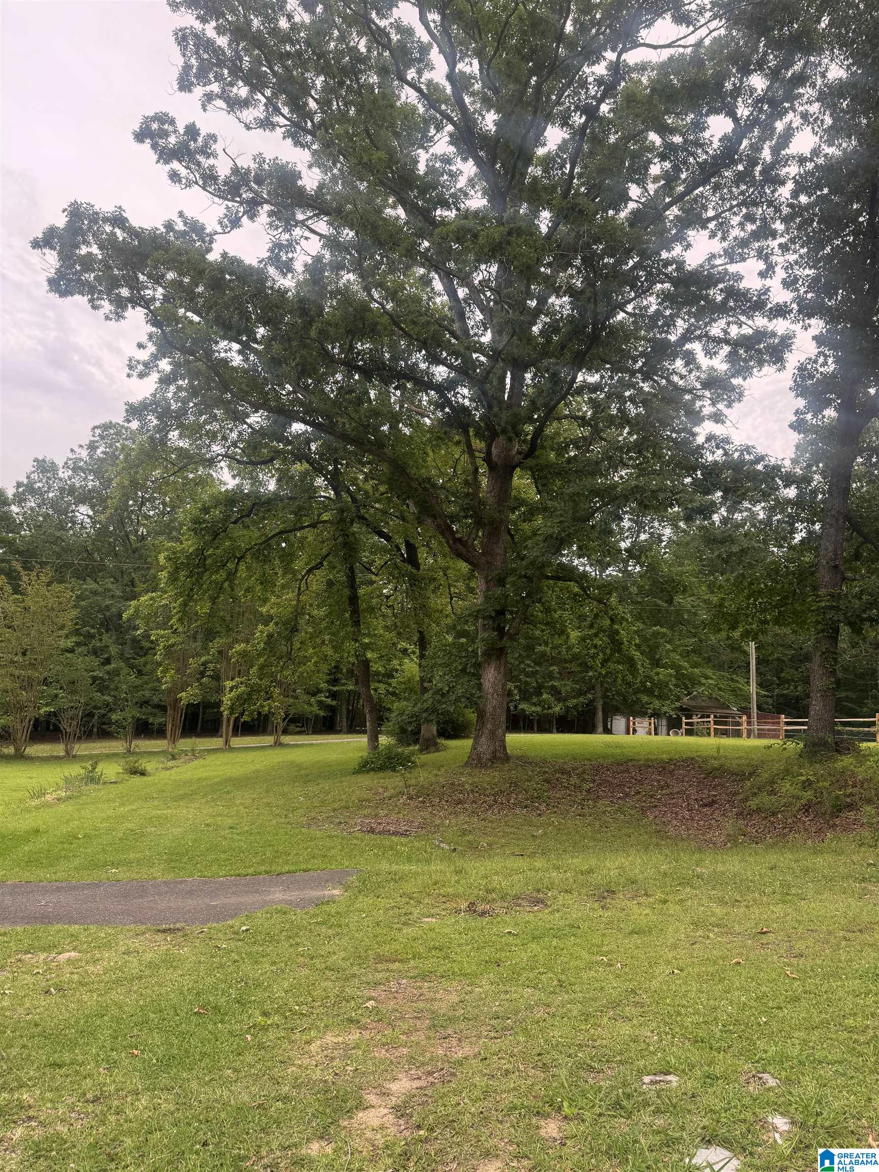 9709 Mize Road Remlap, AL 35133 - Photo 12 of 12 Gallery Image 12