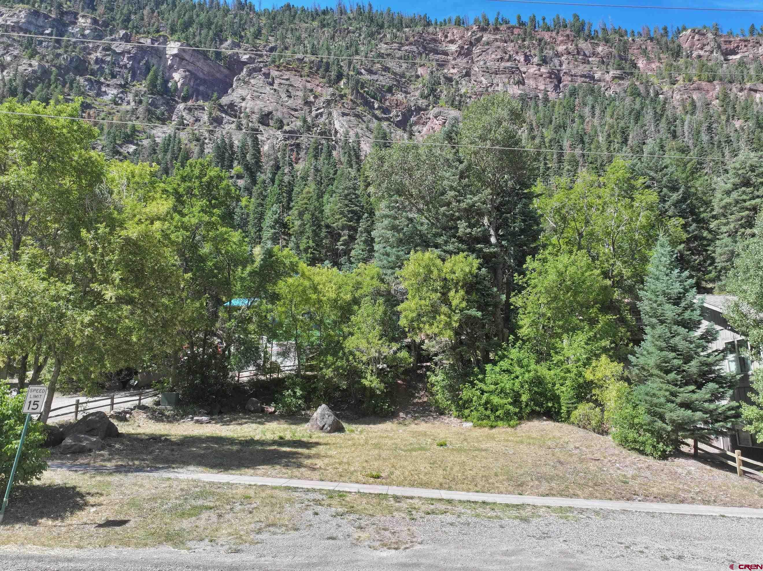 a view of a yard and front of a house