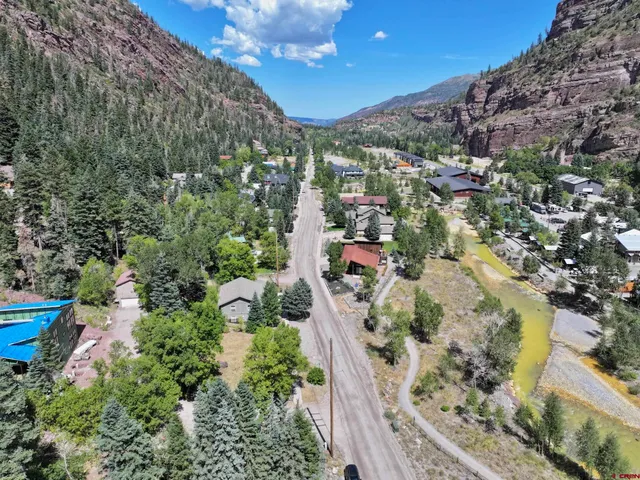 a view of a yard with plants and trees