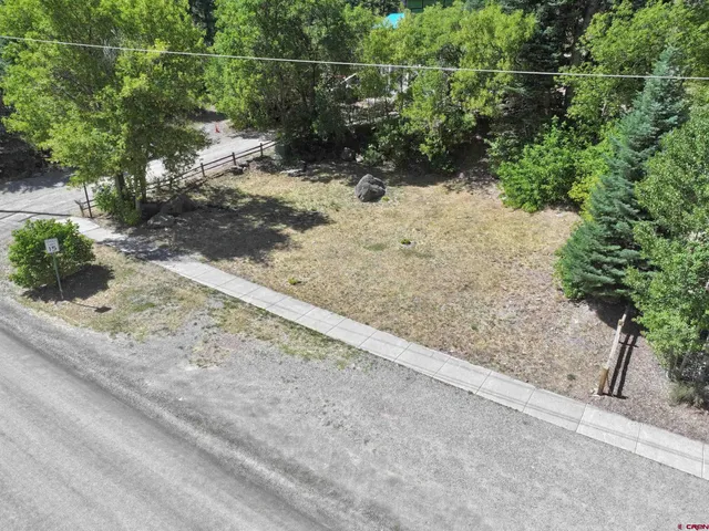 a view of a yard with a tree