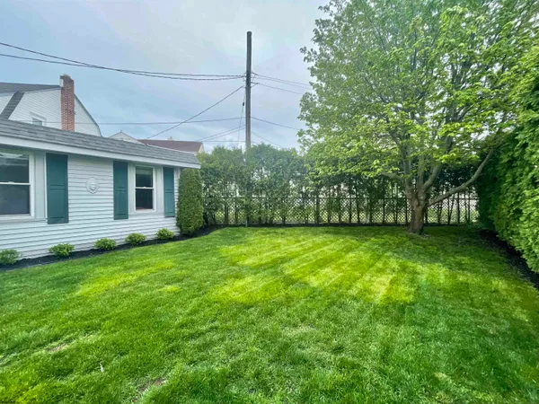 a view of a backyard with plants and large trees
