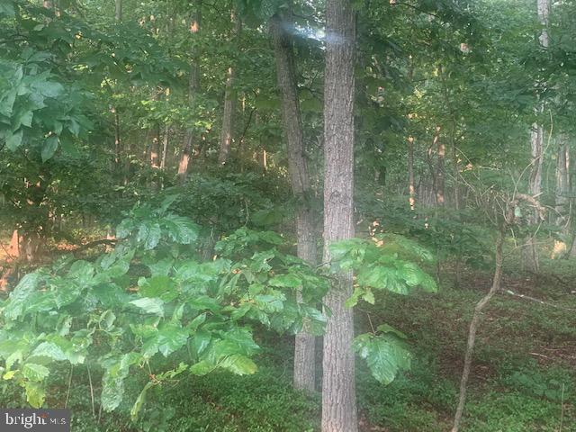 0 Brown Road Bridgeton, NJ 08302 - Photo 1 of 7