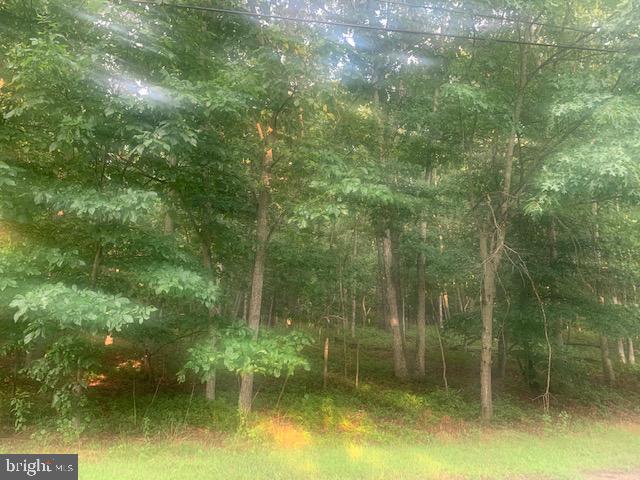 0 Brown Road Bridgeton, NJ 08302 - Photo 3 of 7