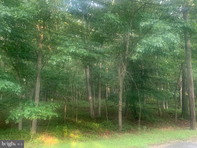 0 Brown Road Bridgeton, NJ 08302 - Photo 4 of 7