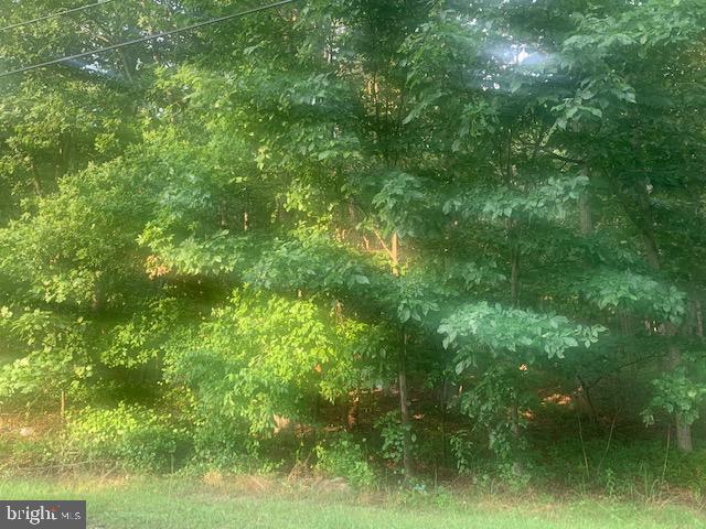 0 Brown Road Bridgeton, NJ 08302 - Photo 5 of 7