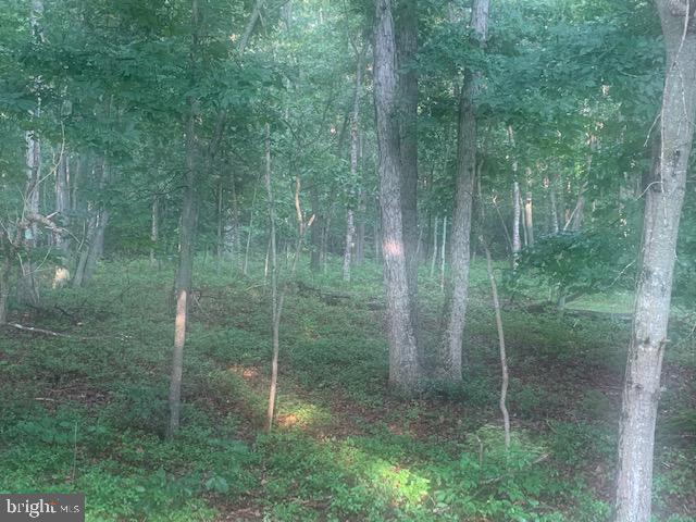 0 Brown Road Bridgeton, NJ 08302 - Photo 6 of 7
