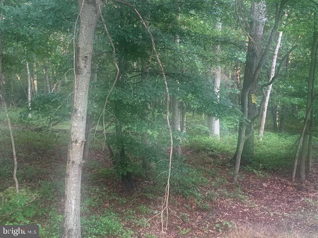 0 Brown Road Bridgeton, NJ 08302 - Photo 7 of 7