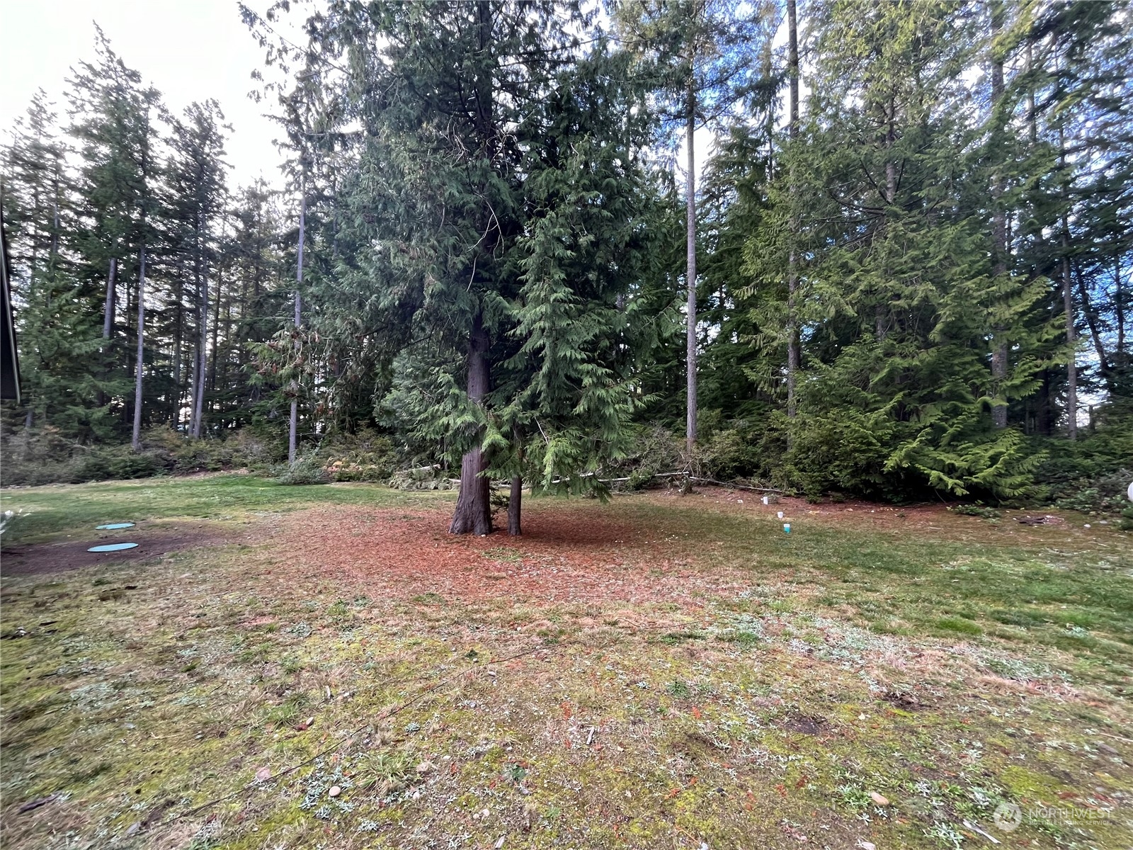 3610 East Log Cabin Road Clinton, WA 98236 - Photo 29 of 33