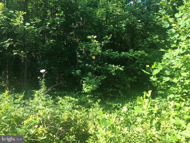 10110 Hummingbird Lane Partlow, VA 22534 - Photo 2 of 16