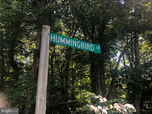 10110 Hummingbird Lane Partlow, VA 22534 - Photo 13 of 16