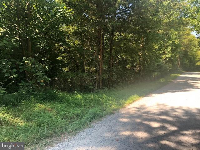 10110 Hummingbird Lane Partlow, VA 22534 - Photo 16 of 16