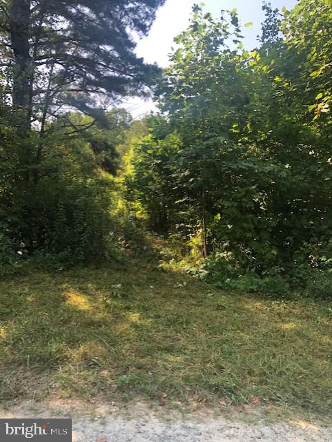 10110 Hummingbird Lane Partlow, VA 22534 - Photo 3 of 16