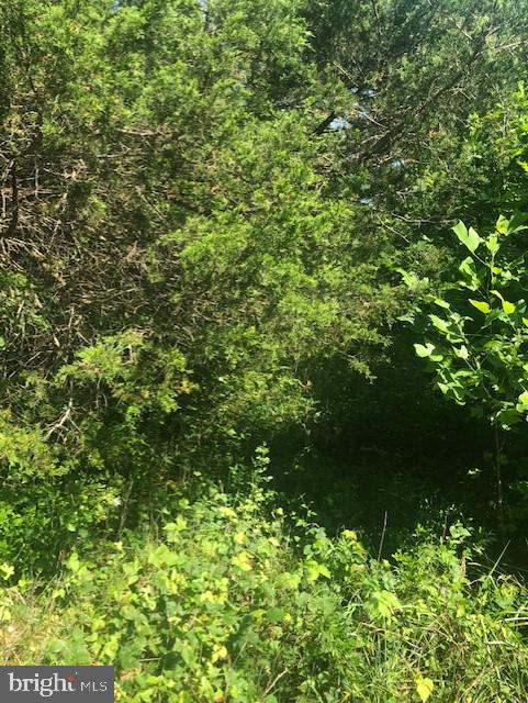 10110 Hummingbird Lane Partlow, VA 22534 - Photo 10 of 16