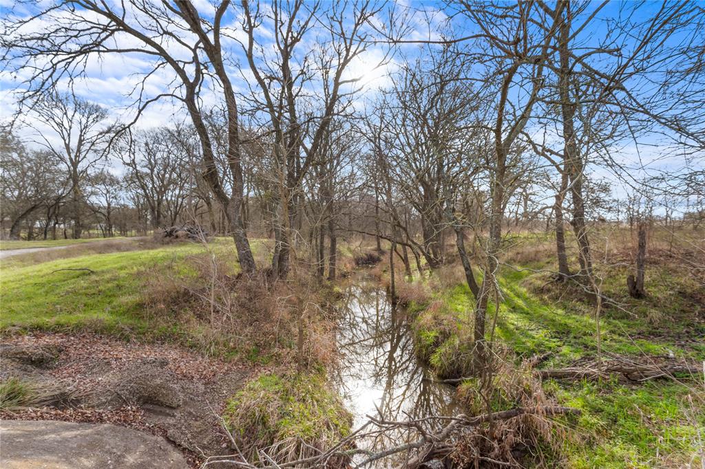 1447 Red Gate Road Mart, TX 76664 - Photo 10 of 38 a big yard with lots of green space and plants