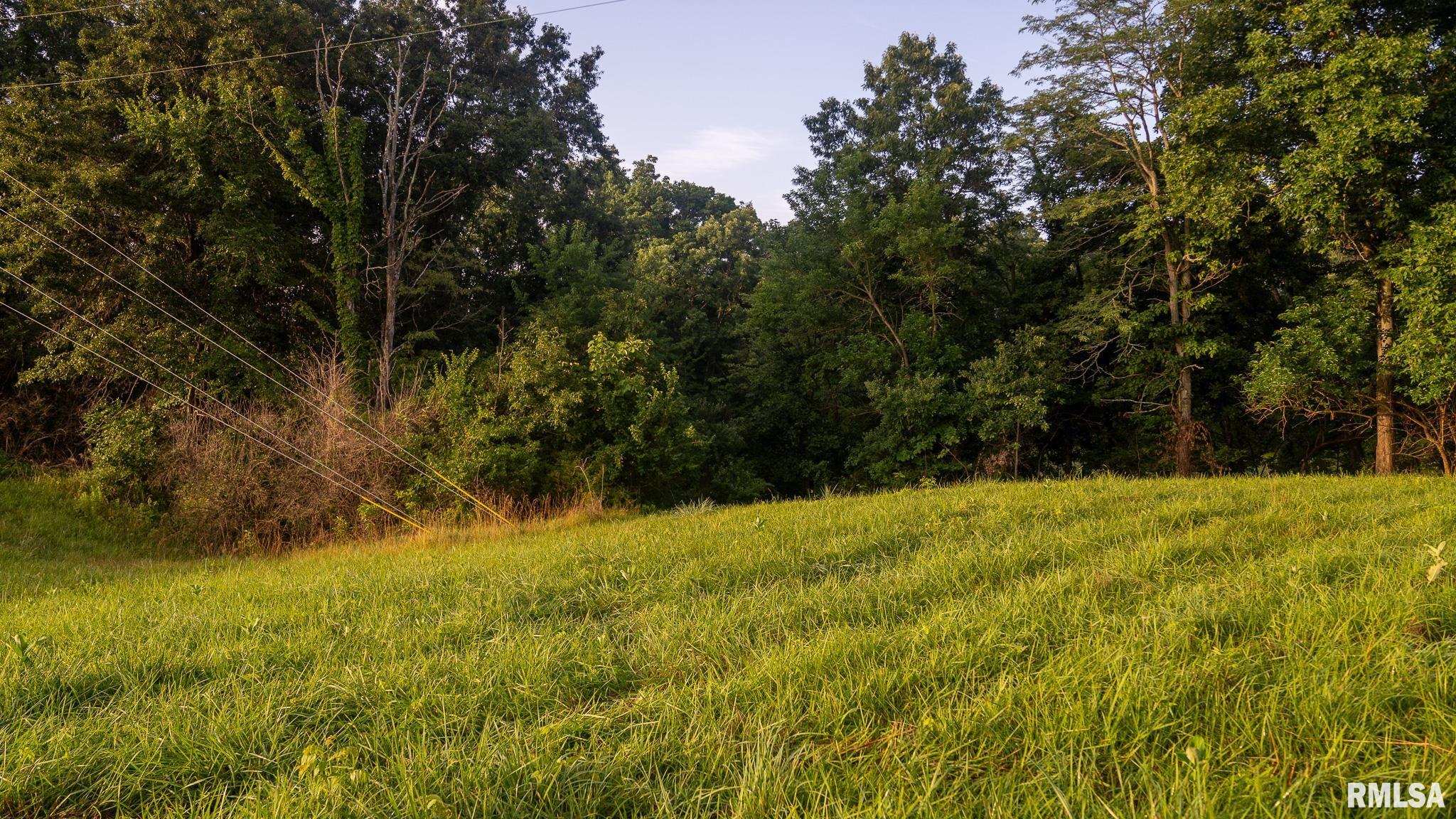 1 Preston Hollow Road Murrayville, IL 62668 - Photo 24 of 45