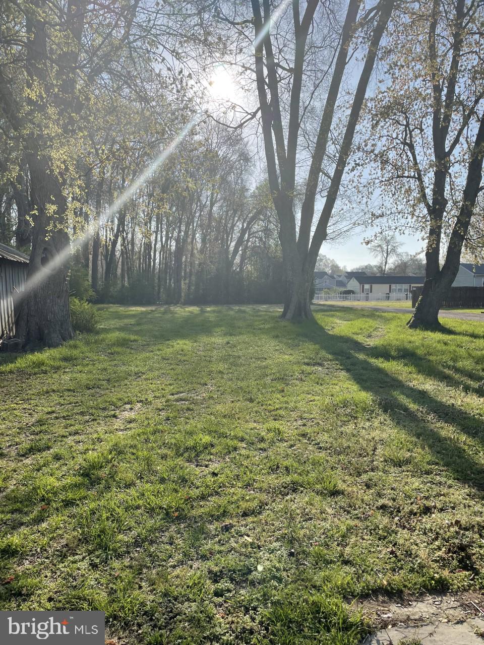 6013 Rosedale Drive King George, VA 22485 - Photo 12 of 12 Large Backyard