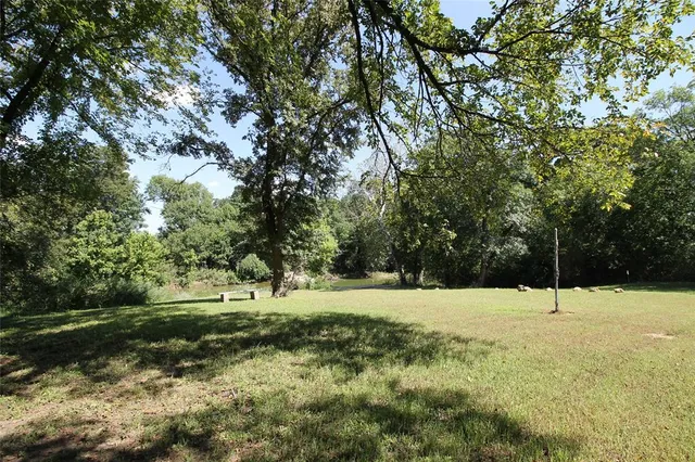 a view of a yard with a tree