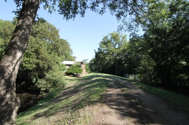 a view of dirt field with trees