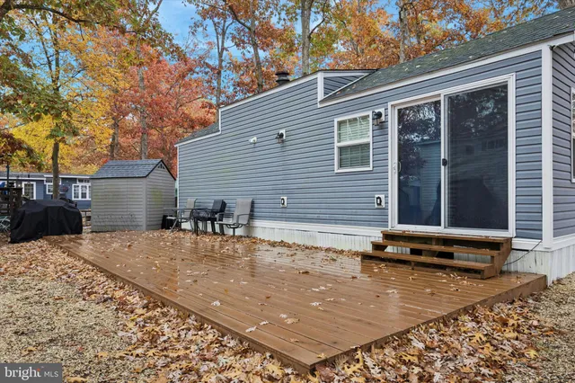 a view of a backyard with a large tree