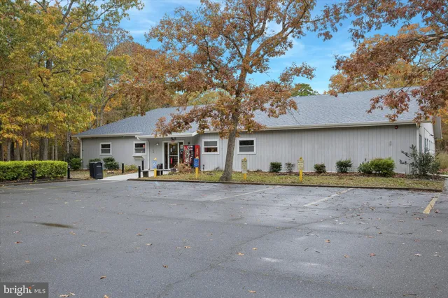 a view of a house with backyard and a tree
