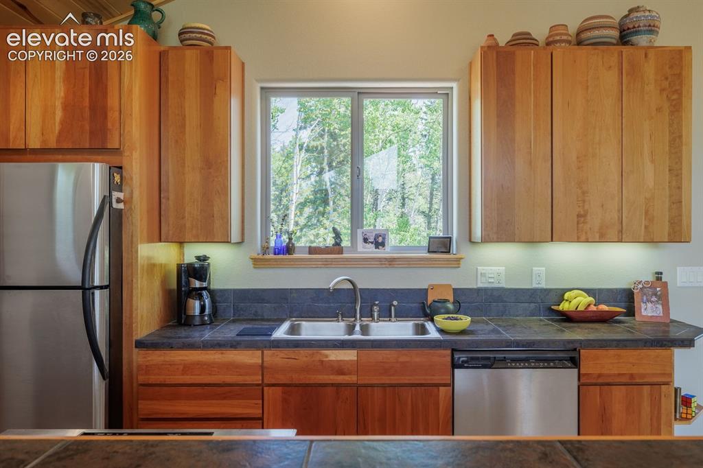 392 Aspen Village Road Divide, CO 80814 - Photo 15 of 43