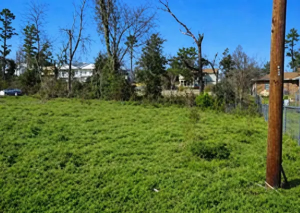 a view of a lush green space
