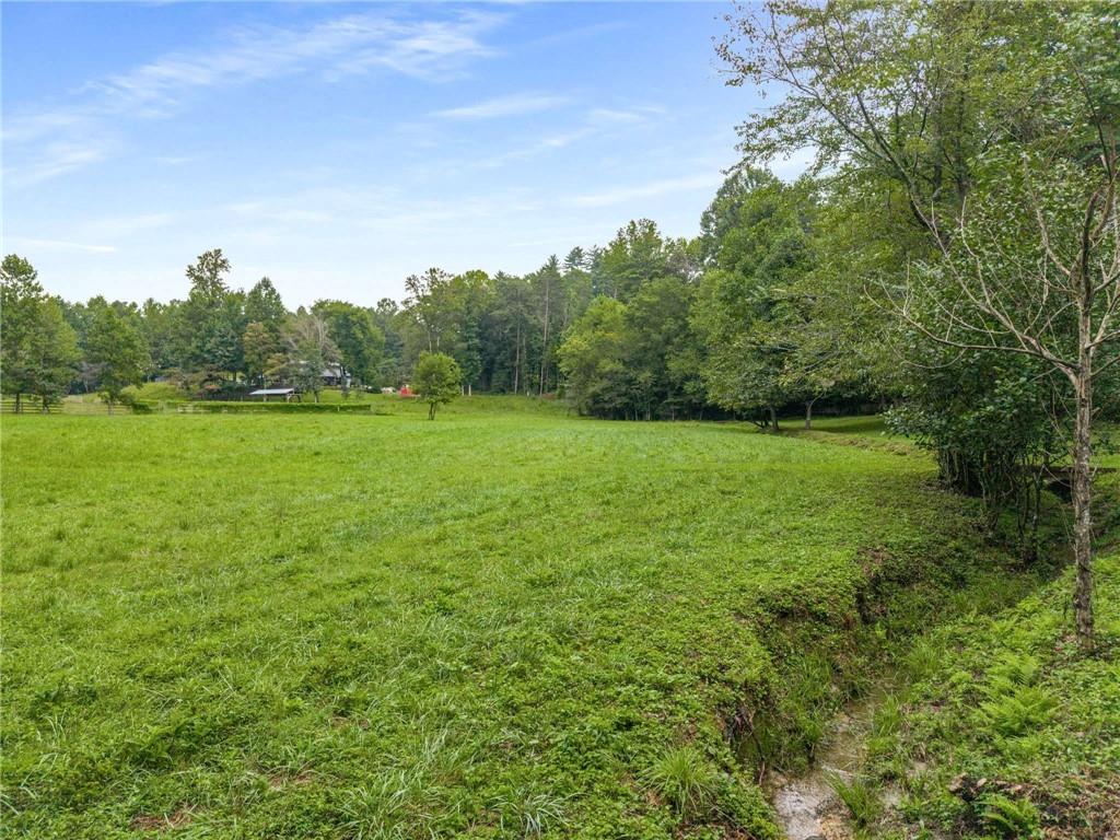 8393 Boardtown Road Ellijay, GA 30540 - Photo 42 of 54 a view of a green field with trees in the background