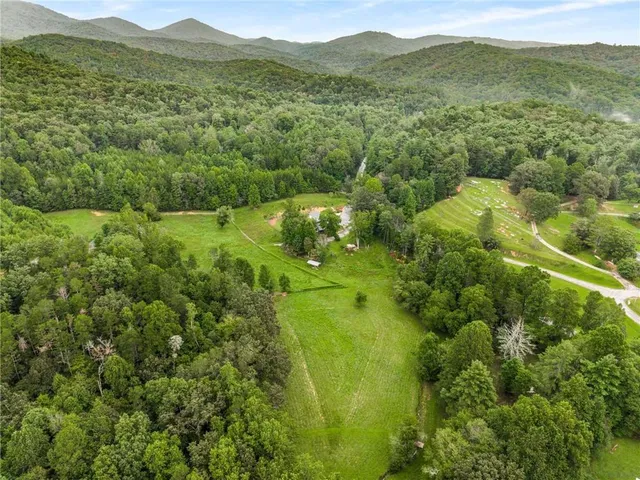 a view of a lush green hillside and houses