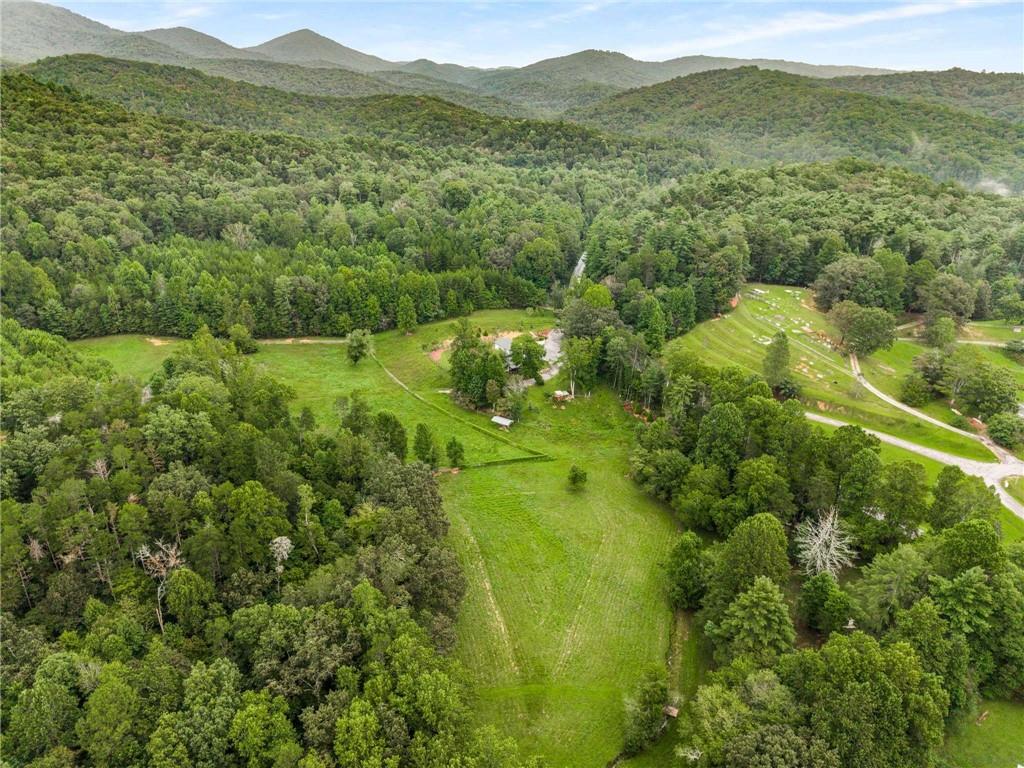 8393 Boardtown Road Ellijay, GA 30540 - Photo 48 of 54 a view of a lush green hillside and houses
