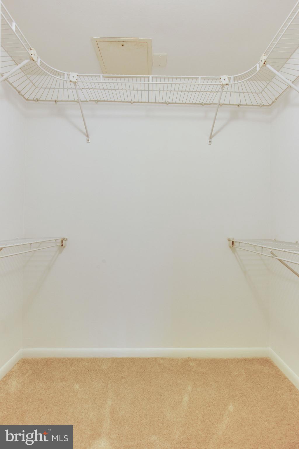 11556 Rolling Green Court, Unit 101 Reston, VA 20191 - Photo 20 of 30 Master BR walk-in closet
