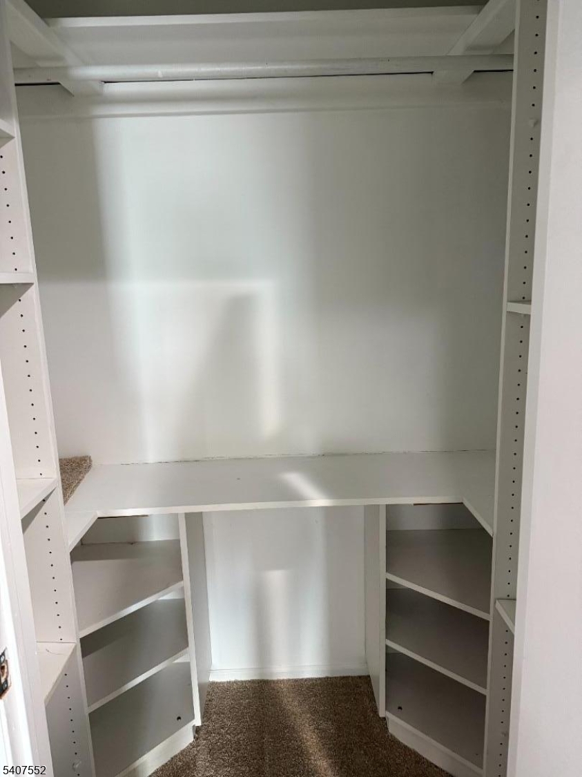 103 Park Avenue, Unit 206 Summit, NJ 07901 - Photo 13 of 25 a view of an empty walk in closet
